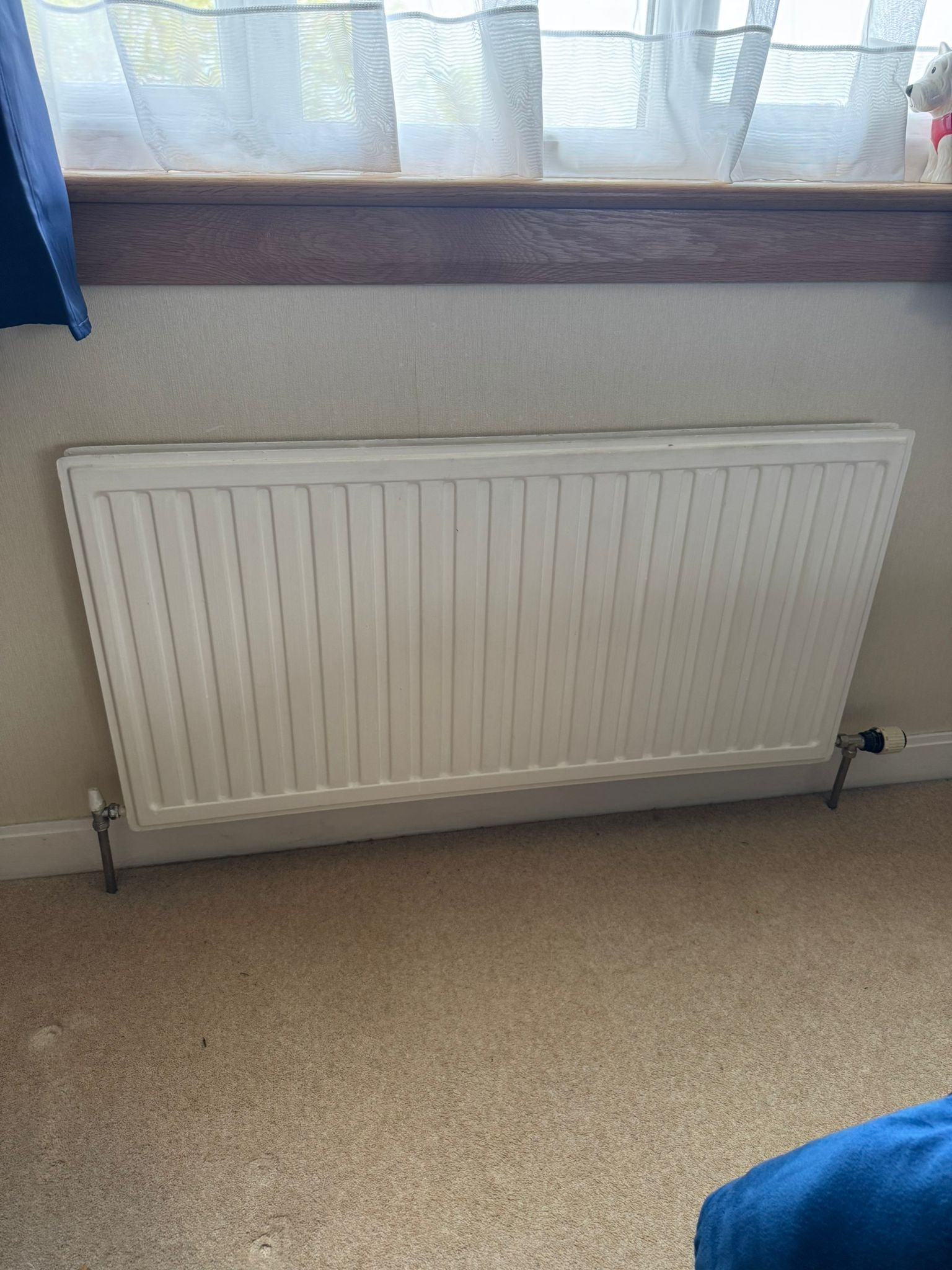 Before radiator upgrade Dundee