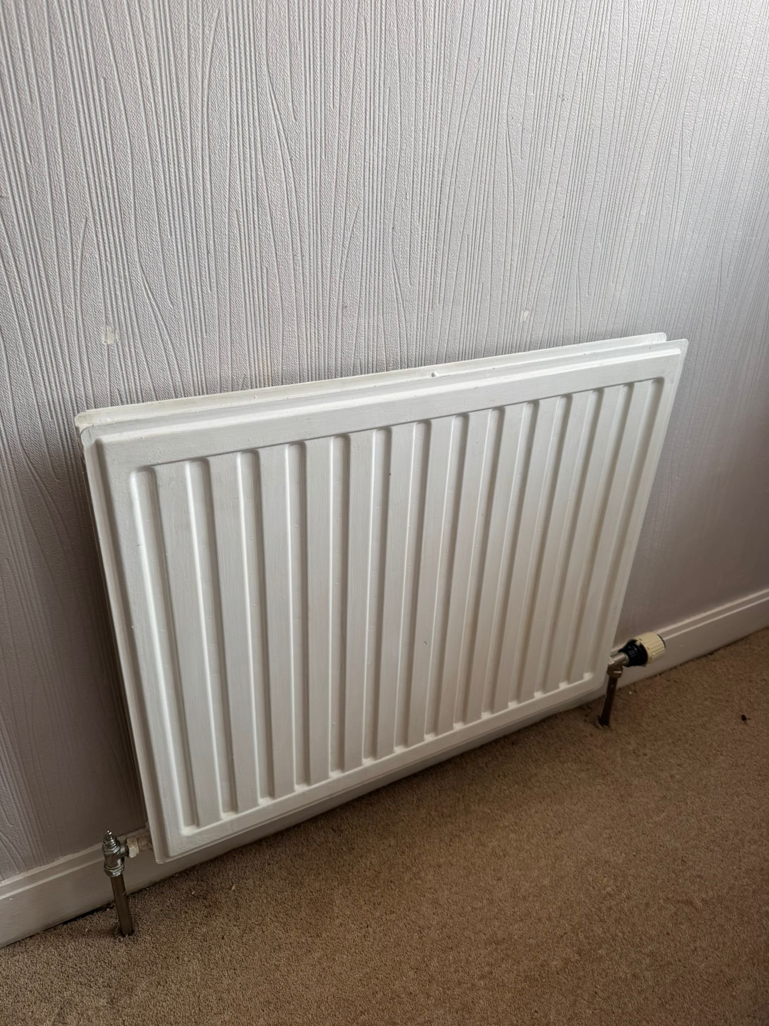 Before radiator installation Dundee