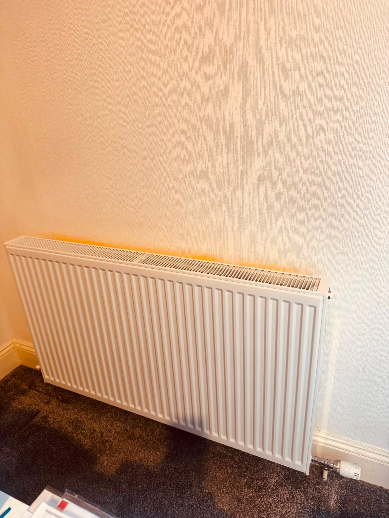 New Stelrad radiator after final replacement