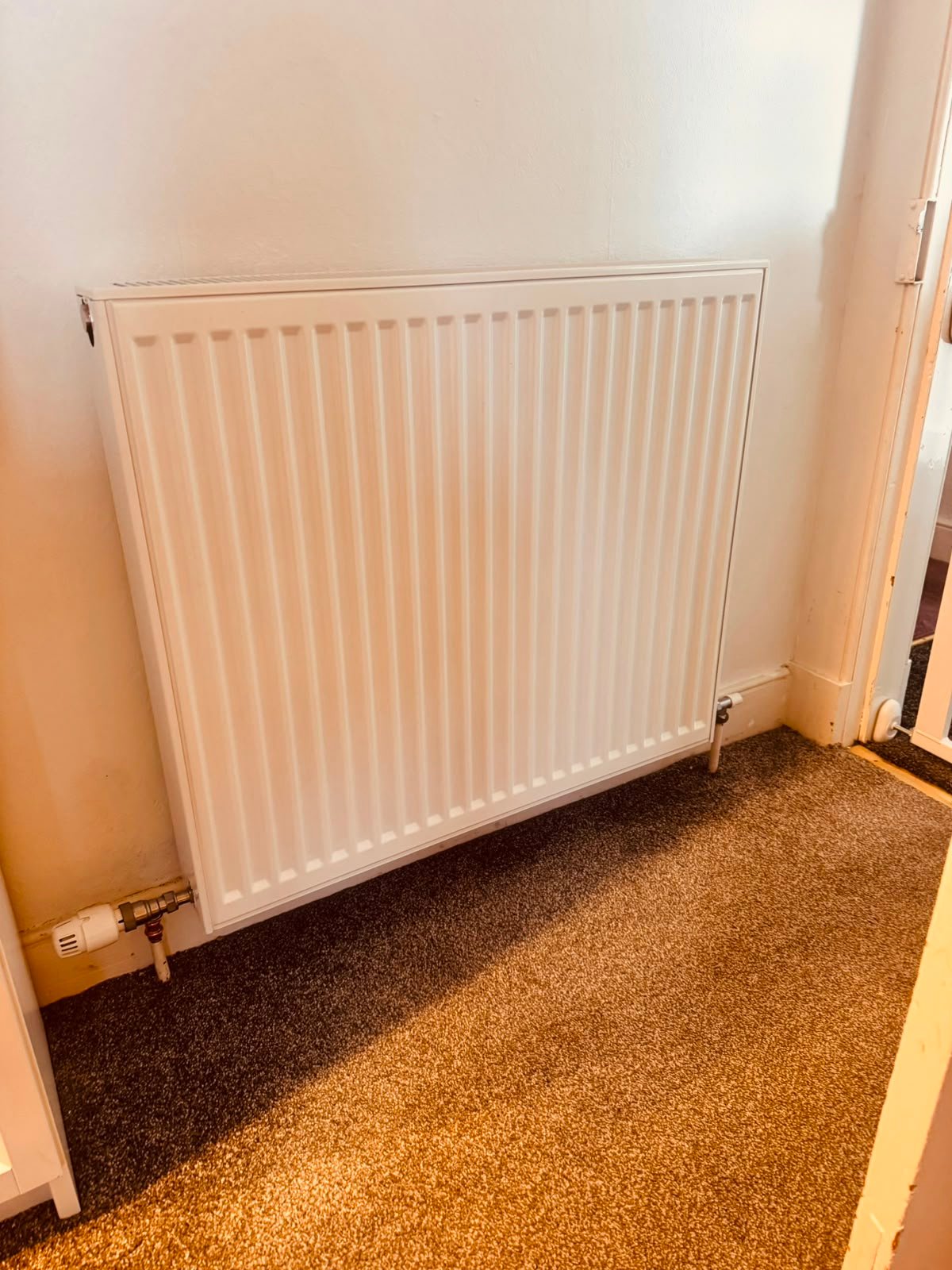 New Stelrad radiator installed after heating upgrade