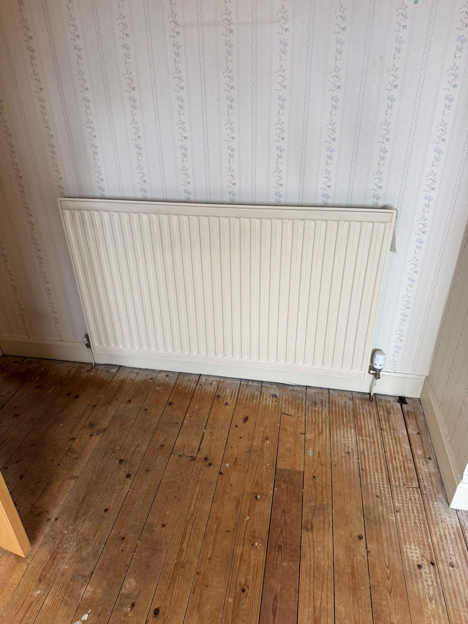 Radiator before full heating system overhaul